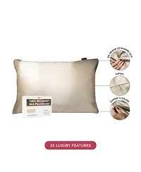 22 Momme 100% Mulberry Silk Pillowcase, Zipper