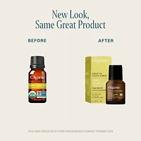 Organic Ylang Ylang Essential Oil