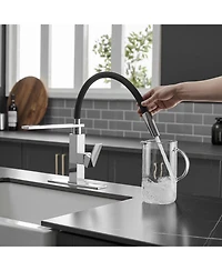 Single-Handle Pull-Down Sprayer 1 Spray High Arc Kitchen Faucet