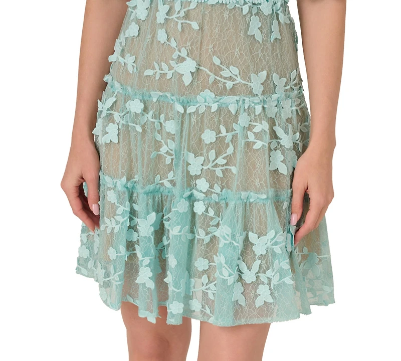Adrianna Papell Women's V-Neck Lace Embroidery Dress