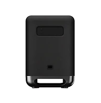 Sony SASW5 300W Wireless Subwoofer with Knox Gear Subwoofer Isolation Feet