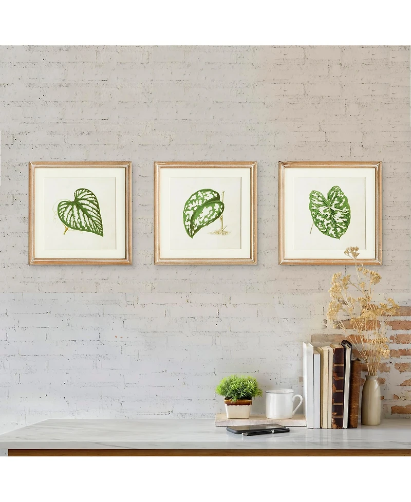 Leaf Cuttings Petite Prints, Set Of 3