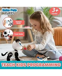 Power Your Fun Robo Pets Puppy