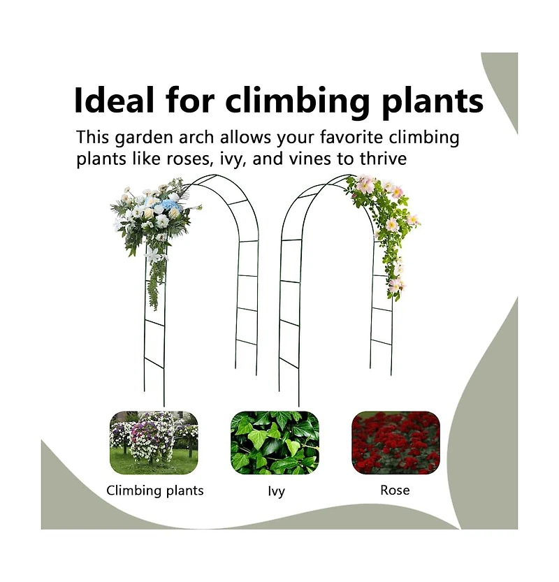 Garden Arch 2 pcs Climbing Plants