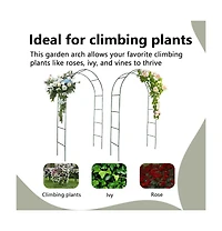 Garden Arch 2 pcs Climbing Plants