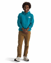 The North Face Men's Box Nse 'Never Stop Exploring' Pullover Hoodie