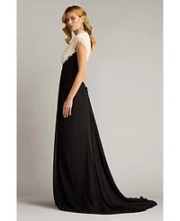 Tadashi Shoji Amelie Lace Trim Chiffon Gown
