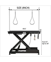 Super Deluxe Electric Pet Grooming Table, Color