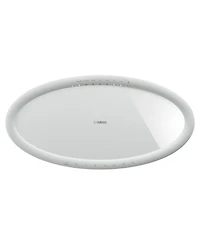 Yamaha MusicCast 50 Wireless Speaker