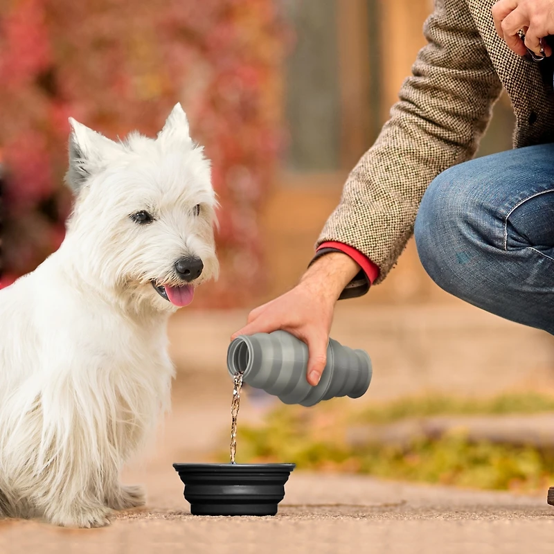 P.t. Supply Co. Feed N Sip 2-in-1 Collapsible Dog Bowl and Water Bottle, Portable Pet Feeding Solution for Travel