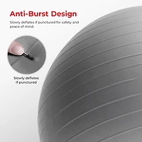 Sunny Health & Fitness Premium Yoga Ball Large 75CM with Pump