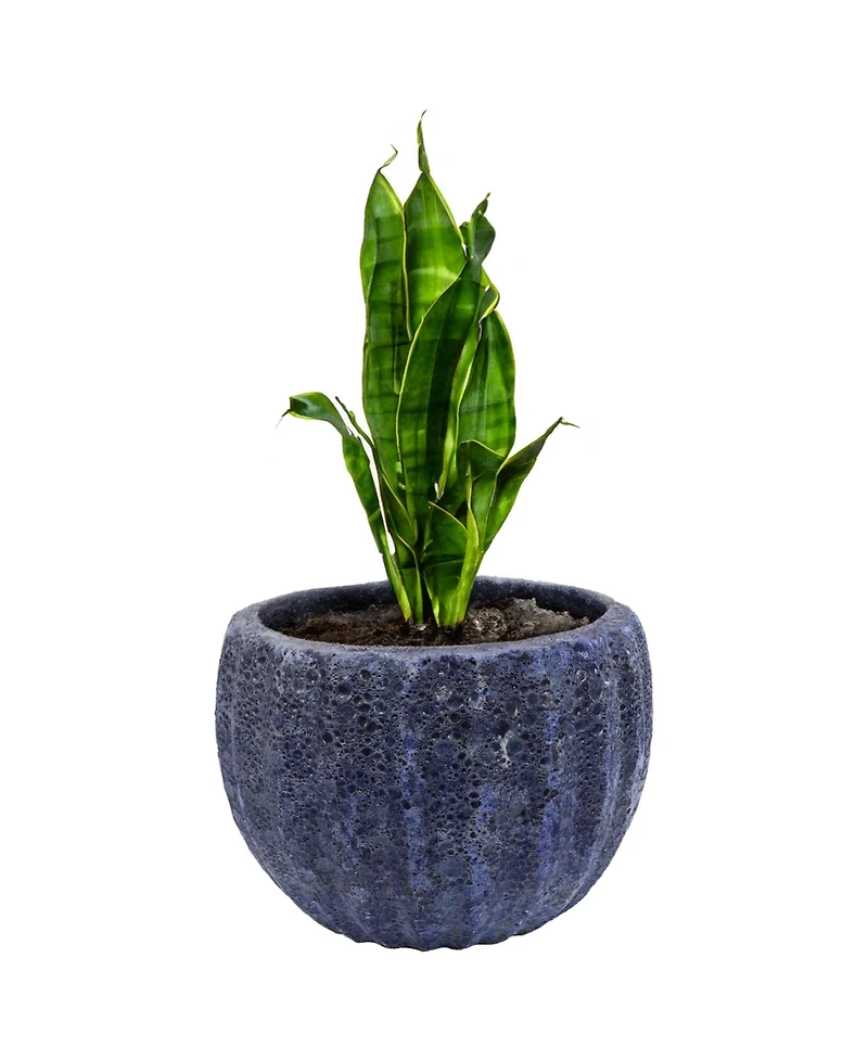 Fluted Lava Finish Ceramic Planter - Dark Blue - 13.5" Round