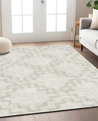 Addison Chantille Machine Washable ACN902 3'x5' Area Rug