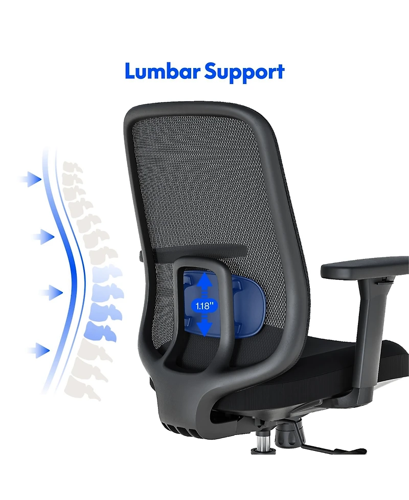 FlexiSpot C2HB-Foam Ergonomic High-Back Office Chair, Black