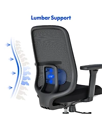 FlexiSpot C2HB-Foam Ergonomic High-Back Office Chair, Black