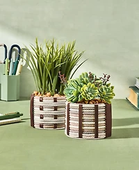 Lifelines FlowCrafts Cord-Wrapped Planters Crafting Kit