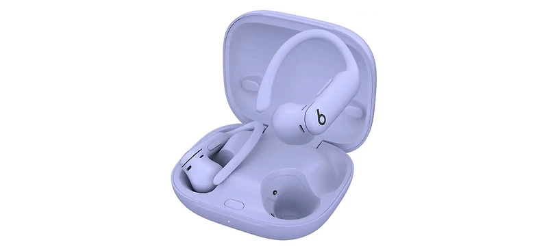 Beats - Powerbeats Pro 2 True Wireless Active Noise Canceling Earbuds Jet Black