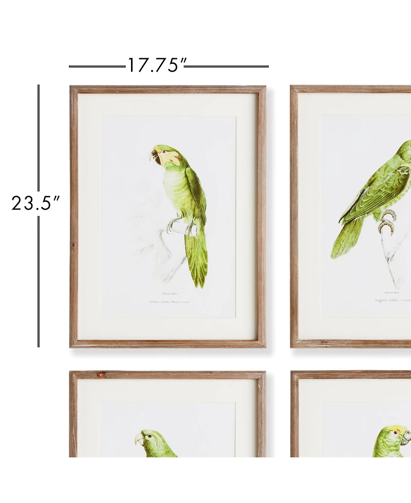 17.75"W x 1"D x 23.5"H Parrot Illustrations In Green Framed Wall Art Set of 4