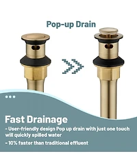 2 Handle Bathroom Sink Faucet