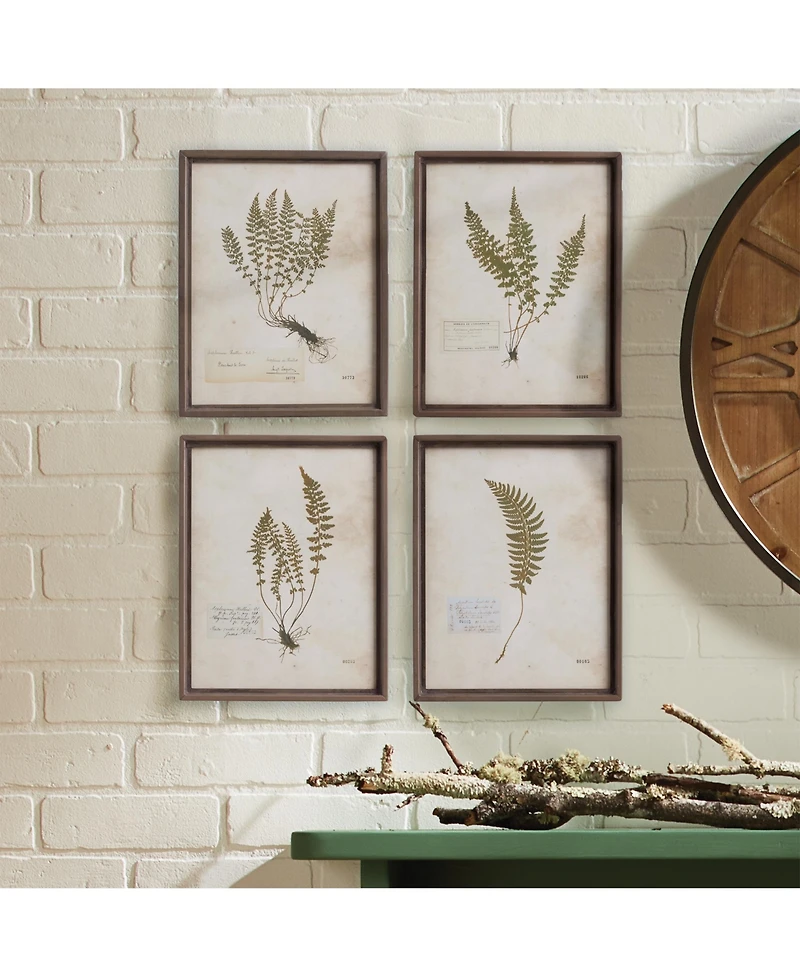 Petite Frond Prints Set of 4