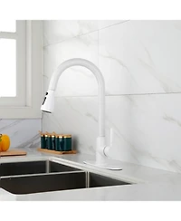 Kitchen Faucet with Pull Out Spraye