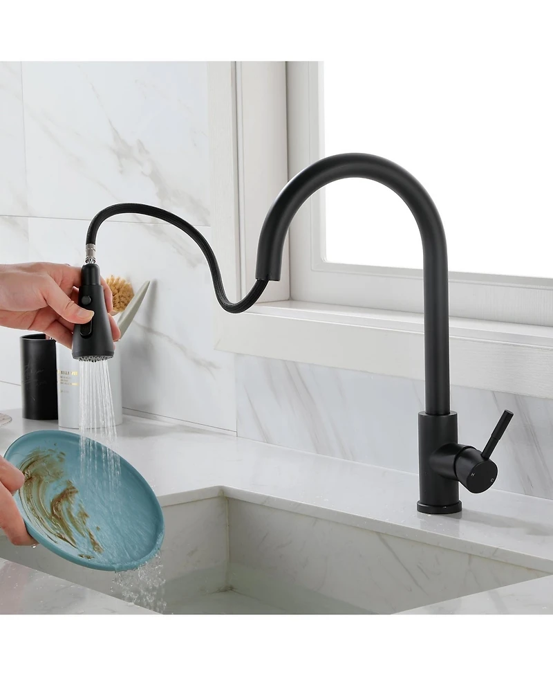 Kitchen Faucet with Pull Out Spraye
