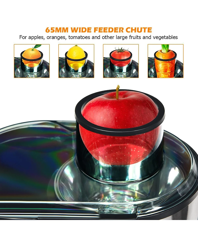 Juicer Machine Juicer Extractor Dual Speed w/ 2.5'' Feed Chute