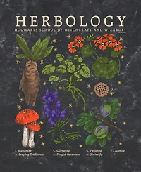Deathly Hallows 2 Men's Herbology Short Sleeve T-Shirt