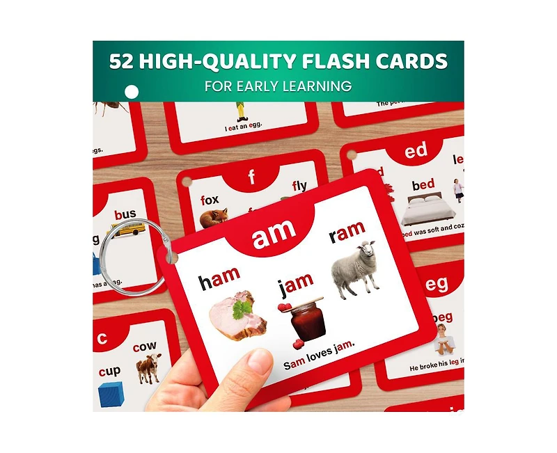 Quokka Abc Learning Flash Cards for Toddlers 2-4 Years Old
