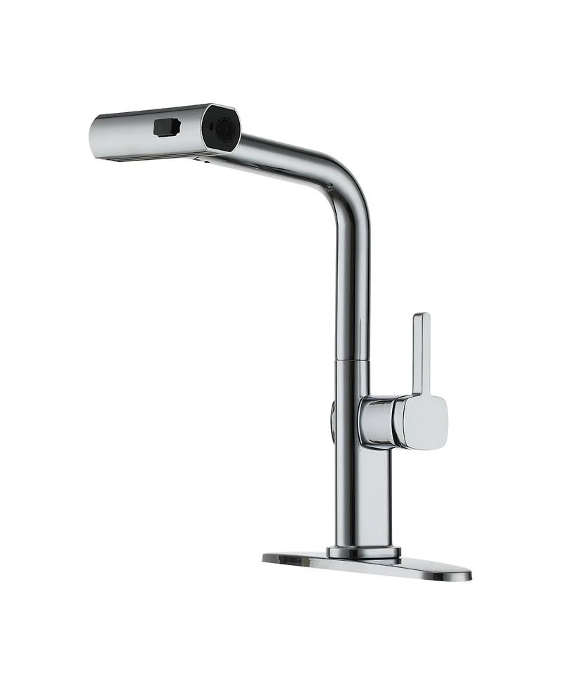 Single Handle Kitchen Faucet with Pull Down Sprayer 3-Function Sink Faucet, 360° Swivel in