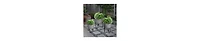 Industrial Planter Set – 3 Galvanized Tubs with Hairpin Metal Legs