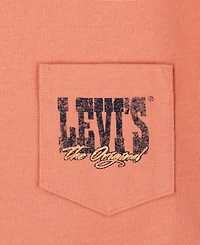 Levi's Big Boys Canyon Landscape T-Shirt