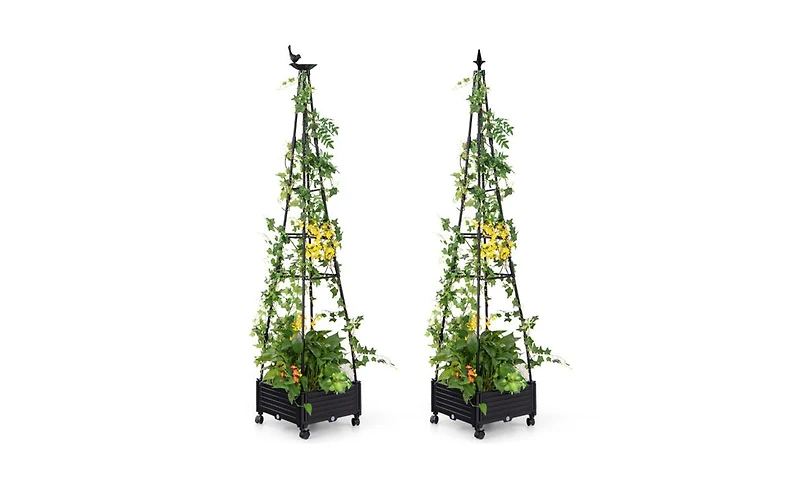 Spacious Garden Bed for Healthy Plant Growth and Organized Outdoor Gardening