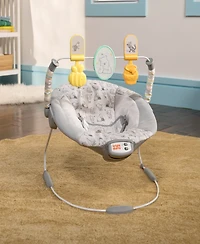Bright Starts Baby Disney Winnie the Pooh Classic Pals Vibrating Bouncer