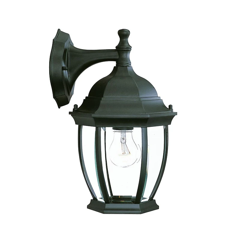Wide Hanging Lantern Wall Light for Outdoor and Indoor Lighting