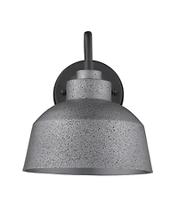 Barnes 1-Light Gray Wall Light