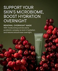 Babor Microbiomic Renewal Overnight Mask, 2.53 oz.