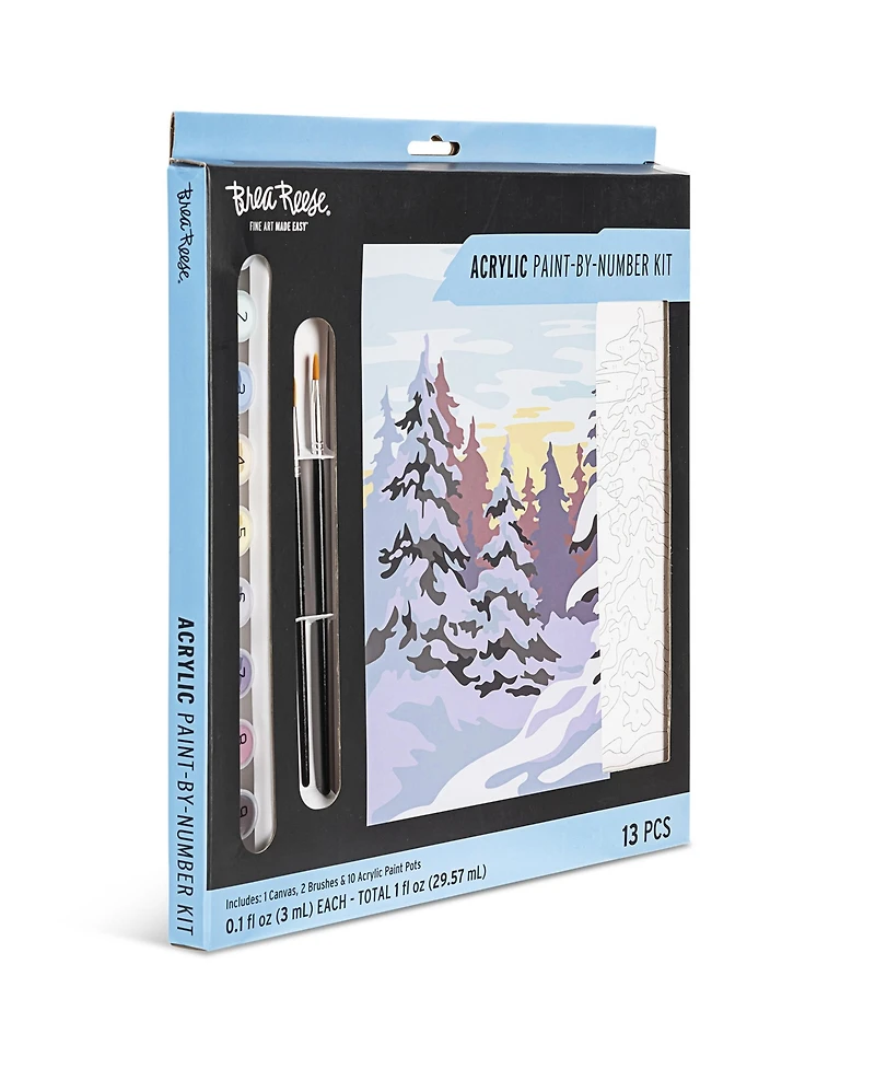 Acrylic Paint-By-Number Kit
