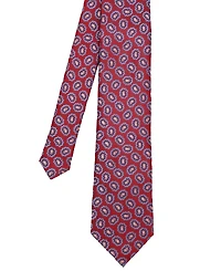 Ben Sherman Men's Paisley Medallion Silk Tie