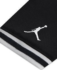 Jordan Baby Boys Matching Taping Mesh T-Shirt & Shorts, 2 Piece Set