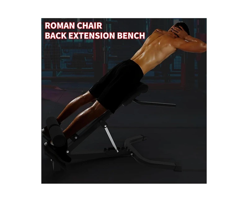 Roman Chair Back Extension, Dual Adjustable Back Extension Bench for Home Gym, Adjustable Back Exercise Machine Weight Capacity 330 Lbs, for Core Work