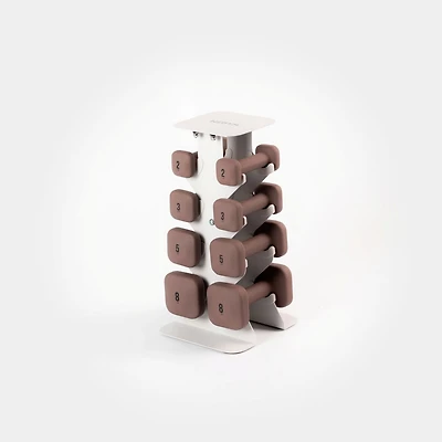 WeGym SafeGrip Dumbbells Lower Set with Light Rack - 2, 3, 5, 8lbs