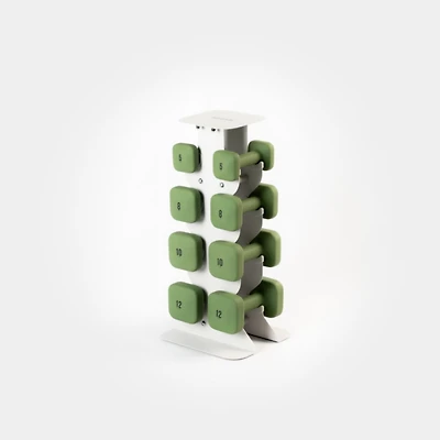 WeGym SafeGrip Dumbbells Medium Set with Light Rack - 5, 8, 10, 12 lbs