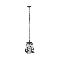 Braith 9.1" Outdoor Pendant