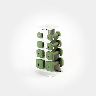 WeGym SafeGrip Dumbbells Lower Set with Light Rack - 2, 3, 5, 8lbs