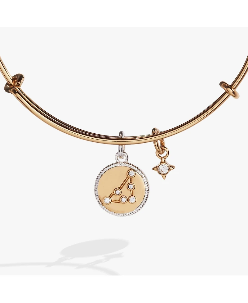 Zodiac Bangle Bracelet Capricorn
