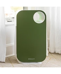 Oval Air H13 Hepa 5-in-1 Purifier, 600 sq. ft. Coverage – Reduces Allergies