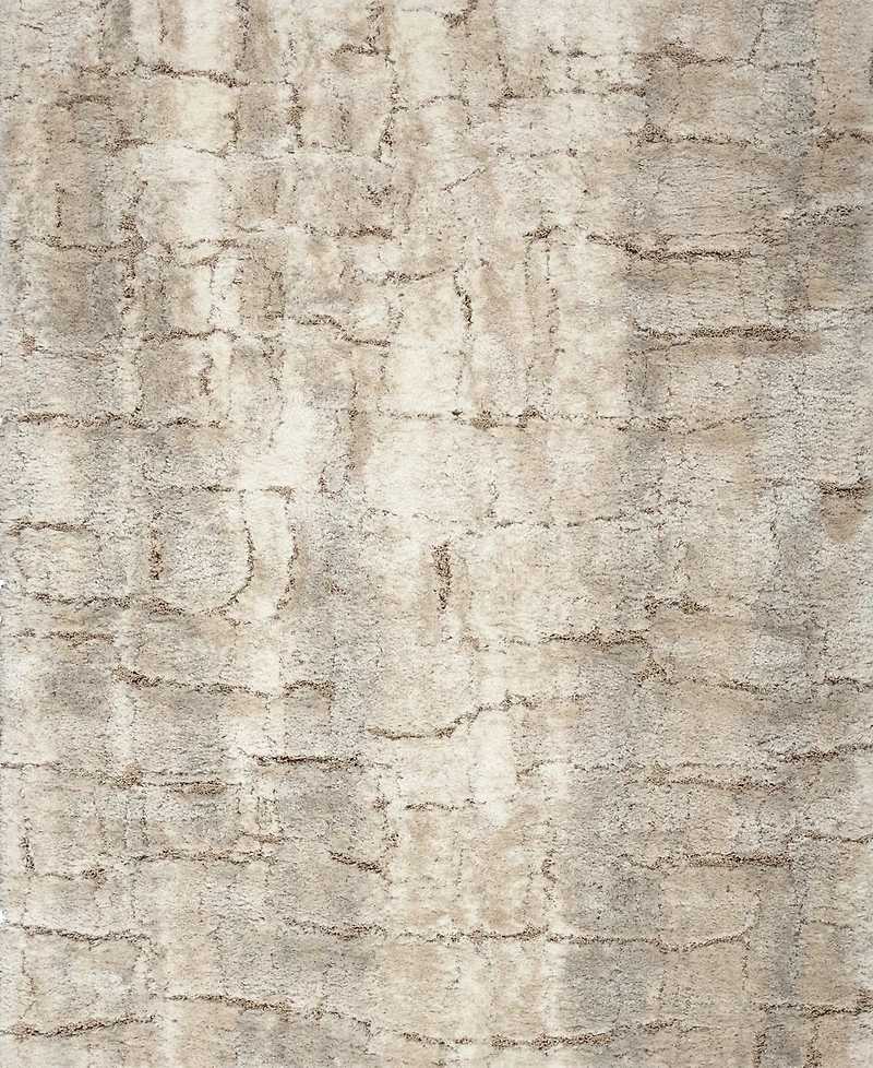 Nourison Home Dreamy Shag DRS09 5'3"x7'3" Area Rug