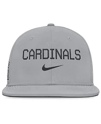 Nike Men's Gray St. Louis Cardinals True Performance Fitted Hat