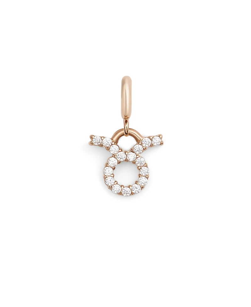 Daniel Wellington Women's Rose Gold Tone Stainless-Steel Watch Charm